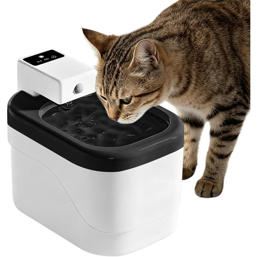 Automatic Pet Water Dispenser |   2L Cordless Dispenser |   Rechargeable Cat Water Fountain |   for Kitten Small Animal Indoor Floor Living Room