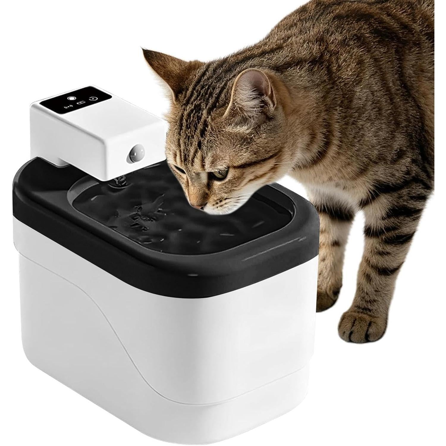 Automatic Pet Water Dispenser |   2L Cordless Dispenser |   Rechargeable Cat Water Fountain |   for Kitten Small Animal Indoor Floor Living Room